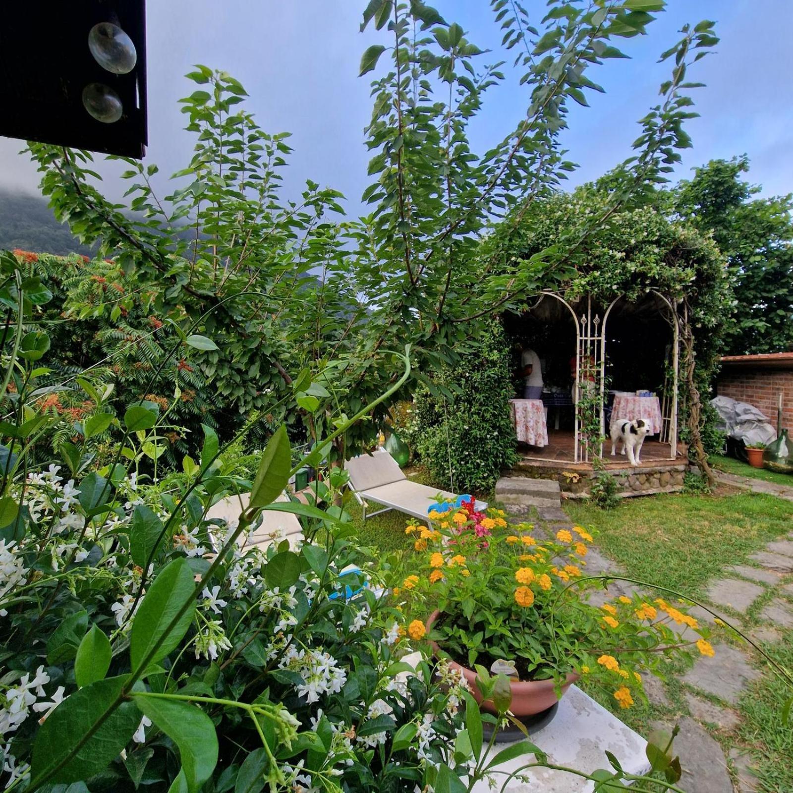 Jasmine Cottage Luni 외부 사진